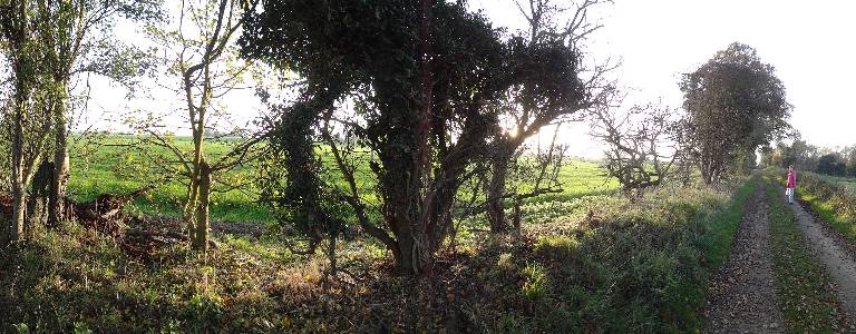 Name: my pano Camera make:  Model:  Software: 